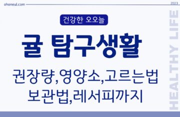 귤하루권장량